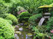 Portland Japanese garden creek